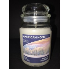 Yankee Candle American Home WINTER MORNING 19 Oz Jar Candle 886860269722  263413424931